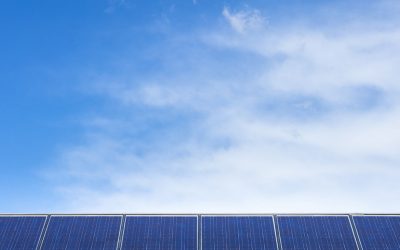 Choosing Between Generators and Solar Batteries for Your Building’s Backup
