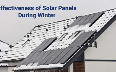 Effectiveness of Solar Panels During Winter