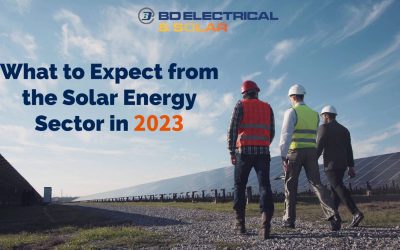 What to Expect from the Solar Energy Sector in 2023