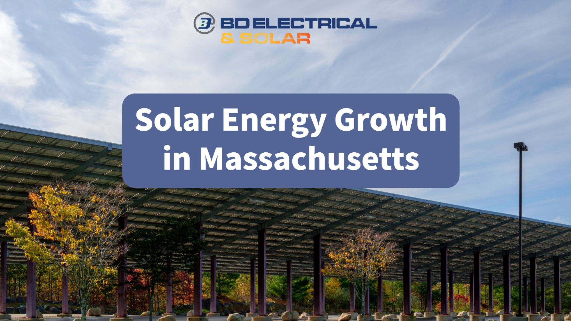 Solar Energy Growth in MA. Picture of fall trees and solar panels