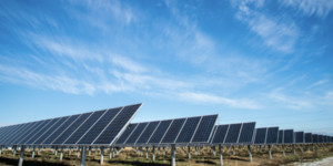 Solar panels in a field during daytime